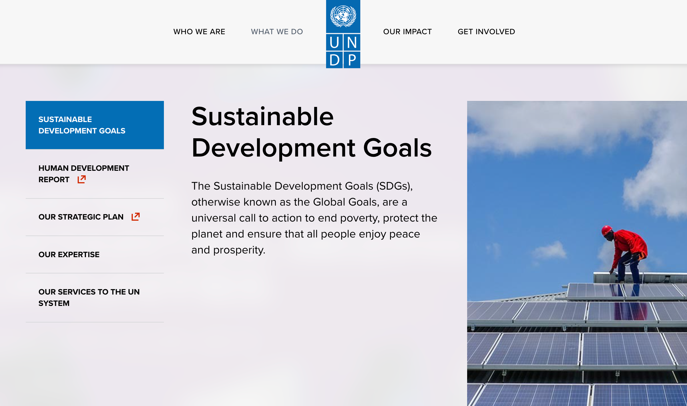 UNDP 机构与项目示意图